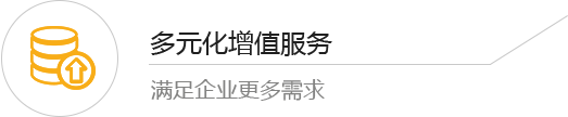 多元化增值服务